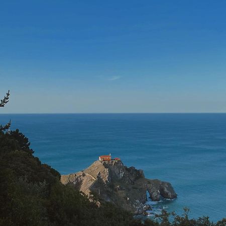 Villa Artegoikoaurdaibai Patrimonio De La Unesco Ibarrangelu Exteriér fotografie